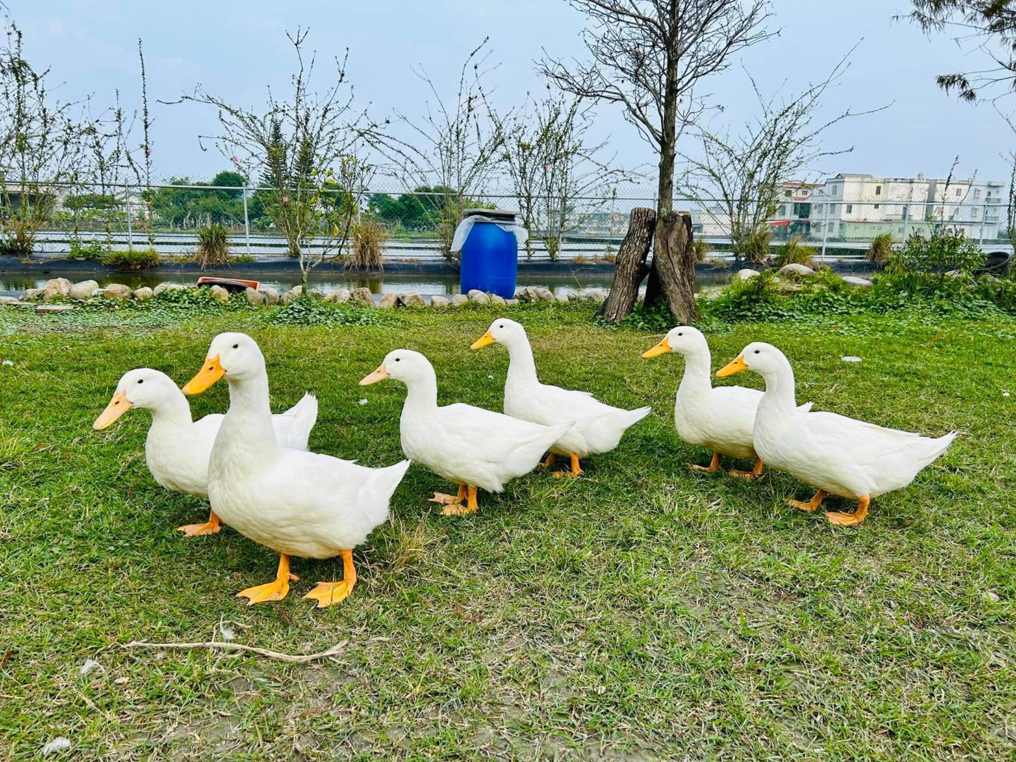 トゥウェイ 192 ホームステイ Zhuangwei エクステリア 写真